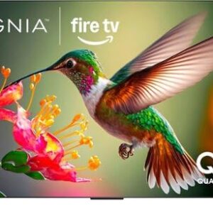 INSIGNIA 65-inch Class QF Series LED 4K UHD QLED Smart Fire TV with Alexa Voice Remote (NS65-UQFL26)